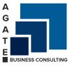 Launching Agate Business Consulting!!!